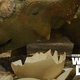 Illustration for article titled emWalking With Dinosaurs 3D/em is a visual feast